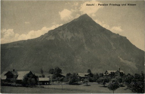 Aeschi pension friedegg - -,