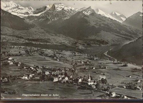 Aeschi spiez panorama - spiez,