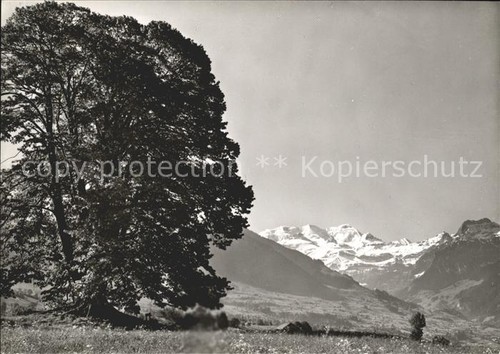 Aeschi spiez die grosse - aeschi,