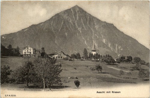 Aeschi mit niesen 447524 - niesen, -447524