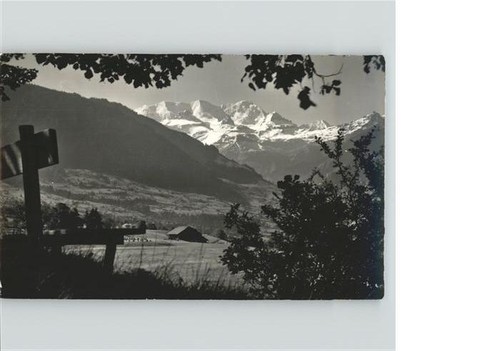 Spiez weg hondrich - am,