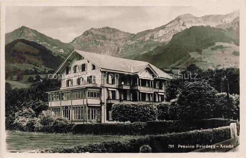 Aeschi pension friedegg - pension,
