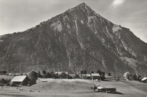 Aeschi niesen hotel - , niesen.