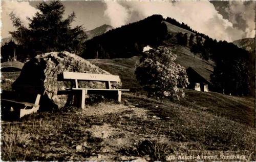 Aeschi allmend 166798 - allmend, -166798