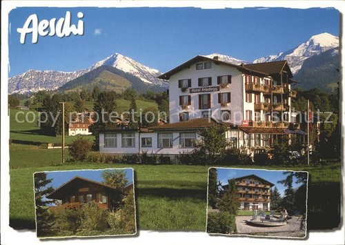 Aeschi spiez hotel - aeschi,