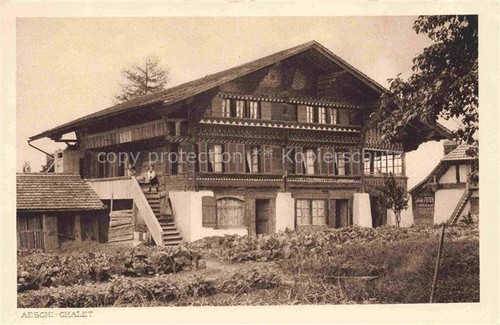 Aeschi spiez chalet - aeschi,