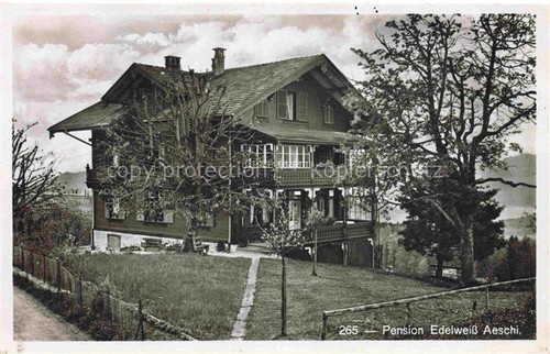 Aeschi pension edelweiss - aeschi,