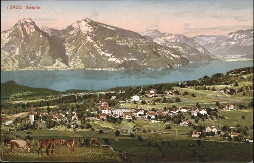 Aeschi spiez kuehe - aeschi,